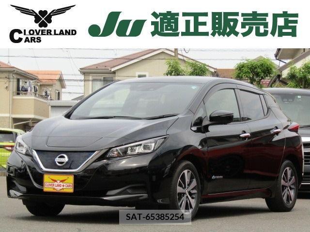 Nissan LEAF 2019-06 297885-0