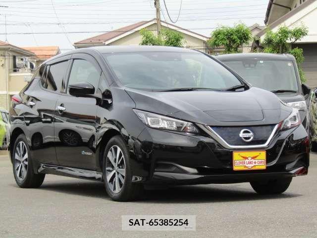 Nissan LEAF 2019-06 297885-6