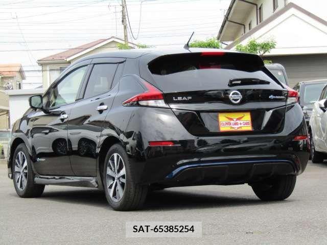 Nissan LEAF 2019-06 297885-8