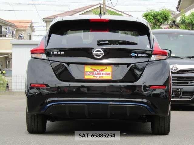 Nissan LEAF 2019-06 297885-5