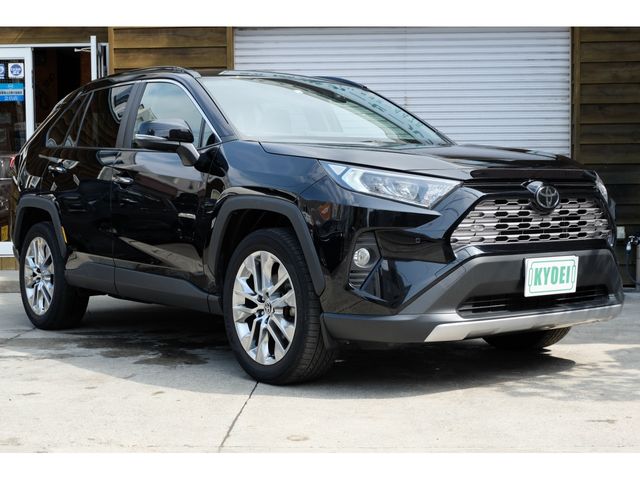 Toyota RAV4 2020-04 4806-3