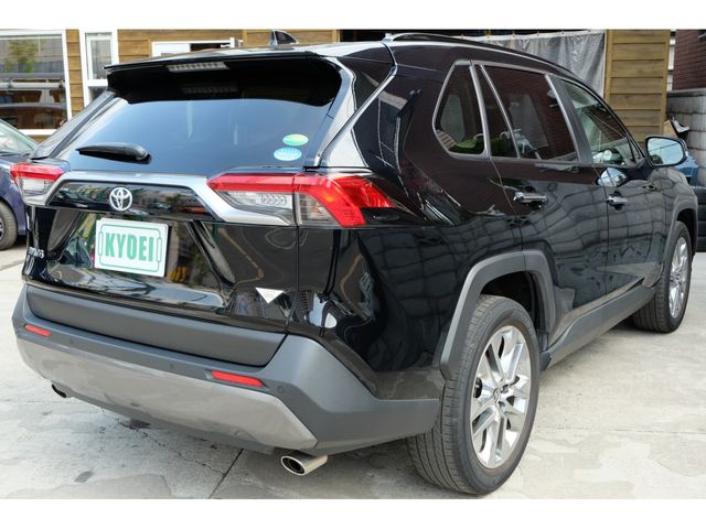 Toyota RAV4 2020-04 4806-5