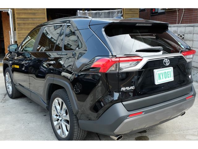 Toyota RAV4 2020-04 4806-7