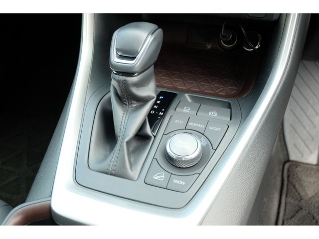 Toyota RAV4 2020-04 4806-12