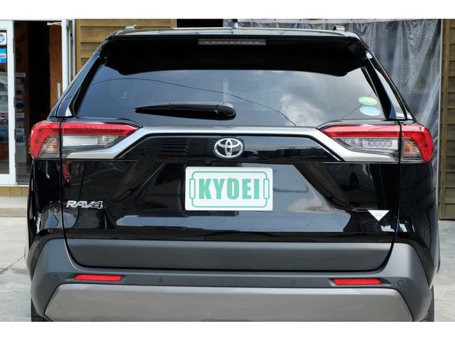Toyota RAV4 2020-04 4806-6