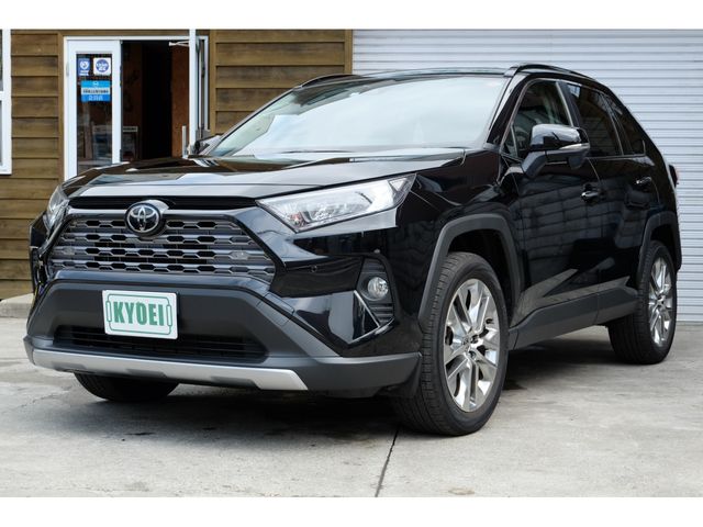 Toyota RAV4 2020-04 4806-0