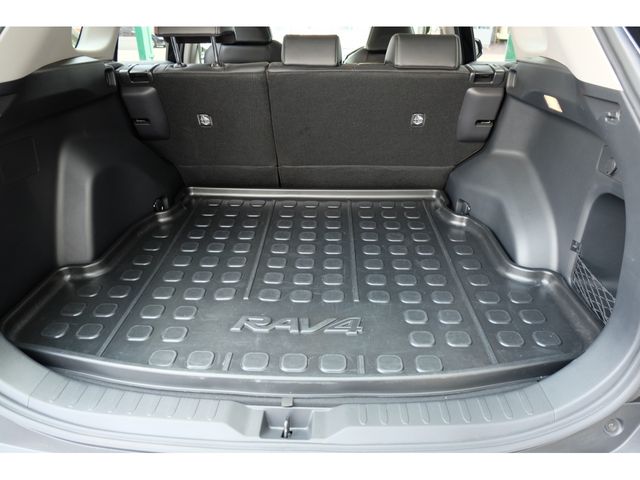 Toyota RAV4 2020-04 4806-19