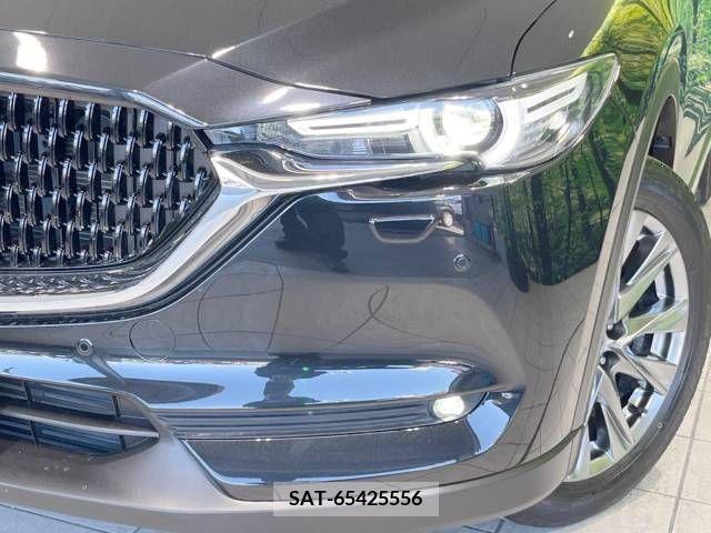 Mazda CX-8 2021-03 228067-13