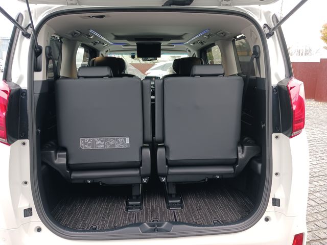 Toyota ALPHARD 2021-10 193880-28