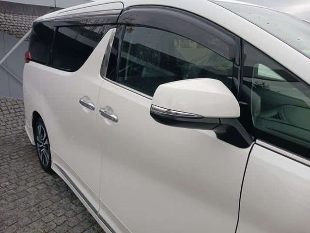 Toyota ALPHARD 2021-10 193880-4