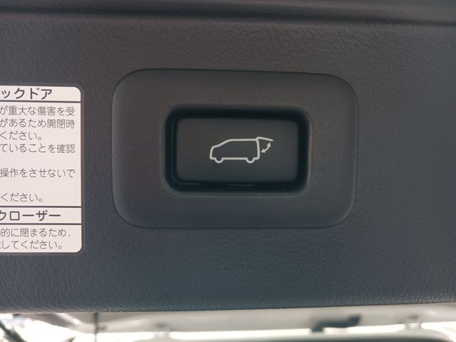 Toyota ALPHARD 2021-10 193880-27