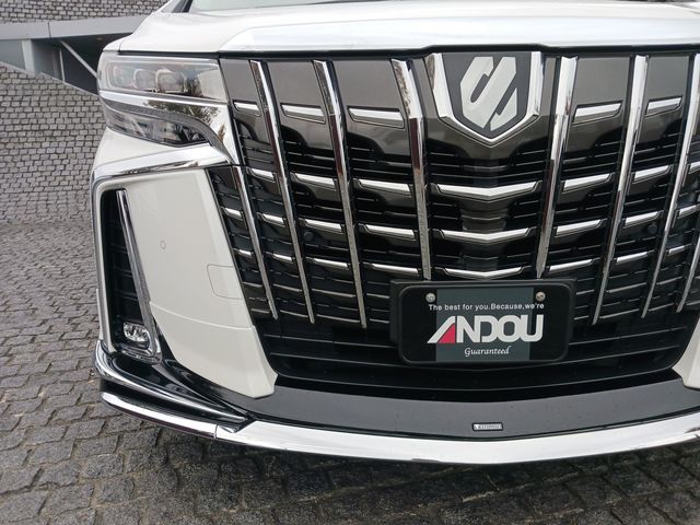 Toyota ALPHARD 2021-10 193880-5