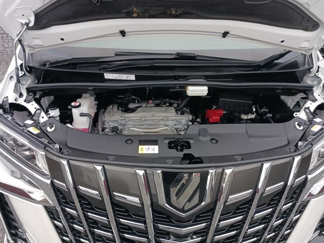 Toyota ALPHARD 2021-10 193880-29