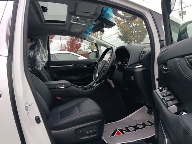 Toyota ALPHARD 2021-10 193880-9