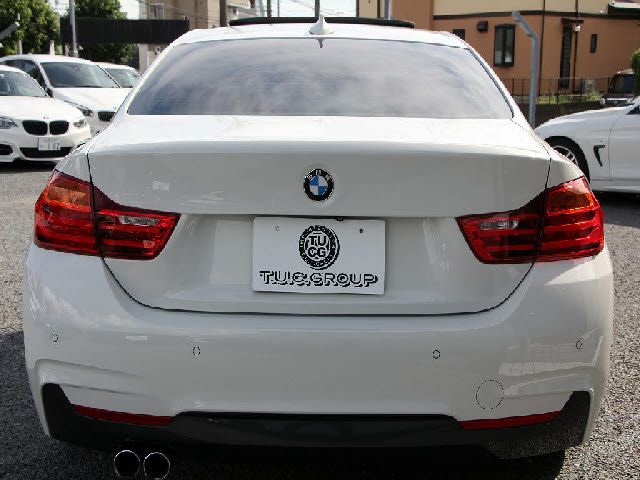 Bmw 4 SERIES 2016-06 18596-29