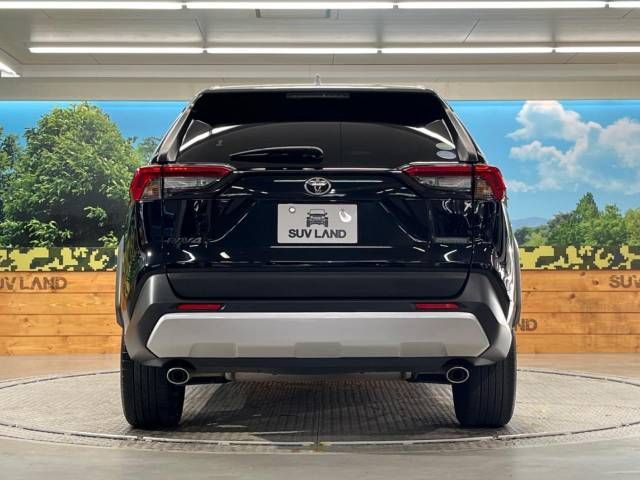 Toyota RAV4 2019-05 9717-15