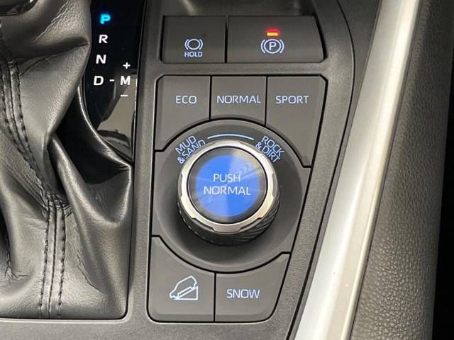 Toyota RAV4 2019-05 9717-7