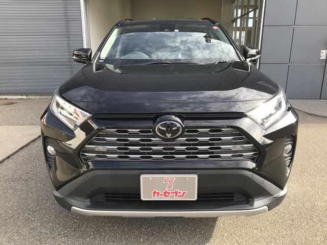 Toyota RAV4 2019-07 196123-21