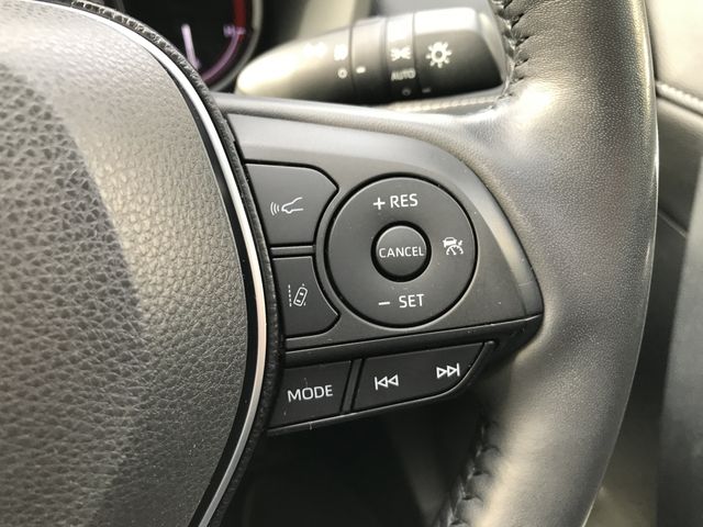 Toyota RAV4 2019-07 196123-12