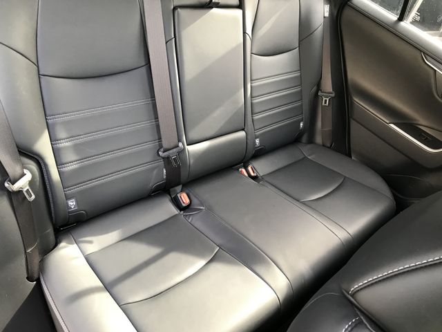 Toyota RAV4 2019-07 196123-5