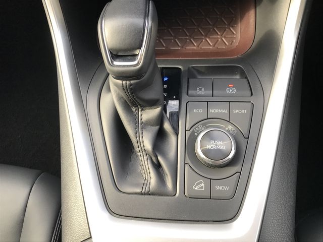 Toyota RAV4 2019-07 196123-16