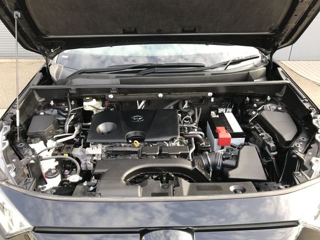Toyota RAV4 2019-07 196123-29