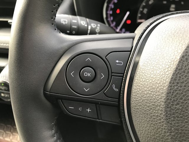 Toyota RAV4 2019-07 196123-11