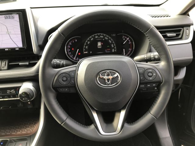 Toyota RAV4 2019-07 196123-10