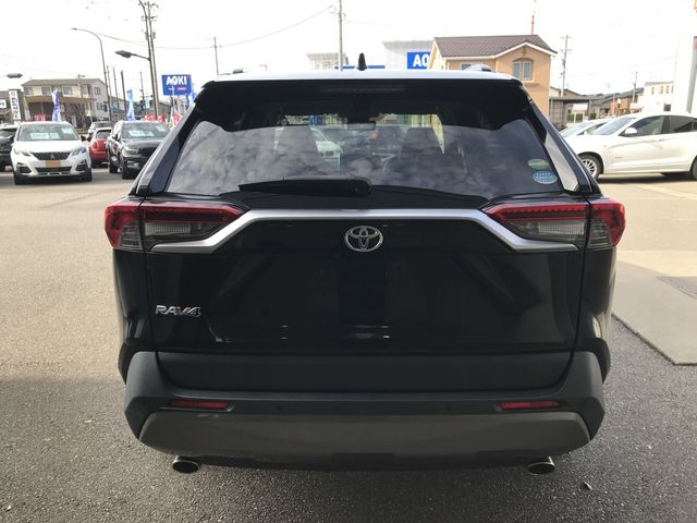 Toyota RAV4 2019-07 196123-24