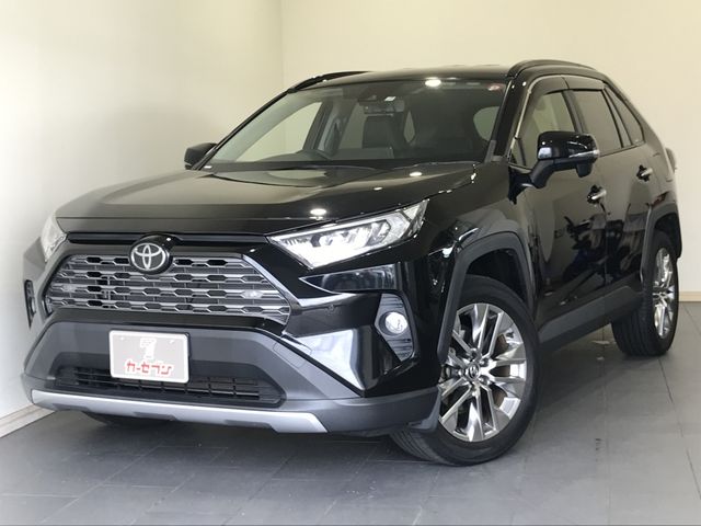 Toyota RAV4 2019-07 196123-0