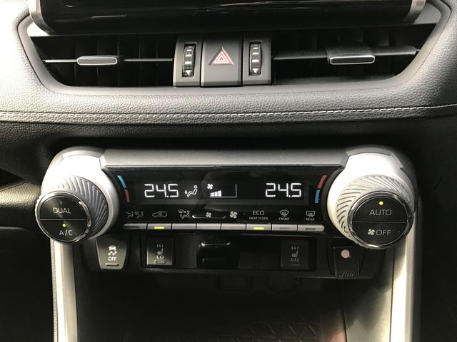 Toyota RAV4 2019-07 196123-17