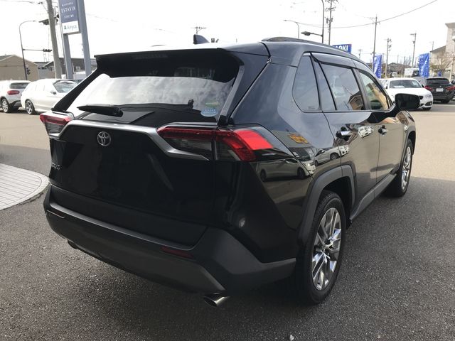 Toyota RAV4 2019-07 196123-2