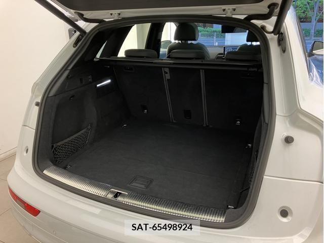 Audi SQ5 2018-12 332994-14
