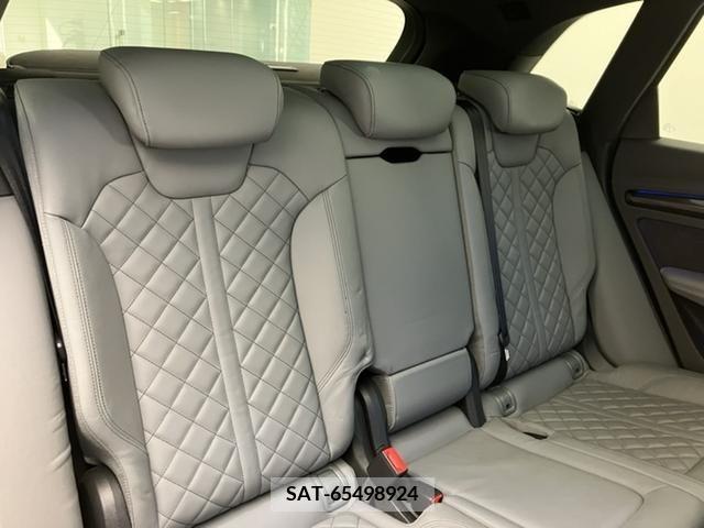 Audi SQ5 2018-12 332994-13