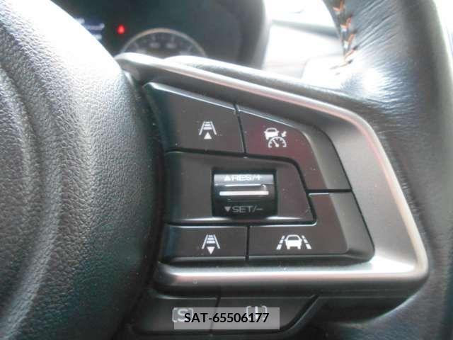 Subaru SUBARU 2017-07 286324-11