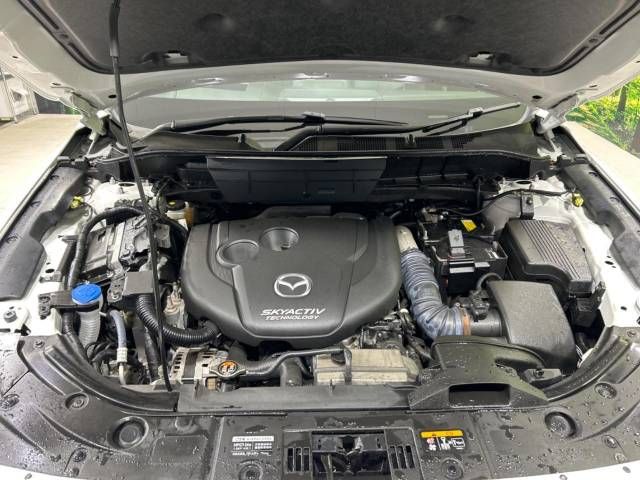 Mazda CX-8 2018-06 16672-19