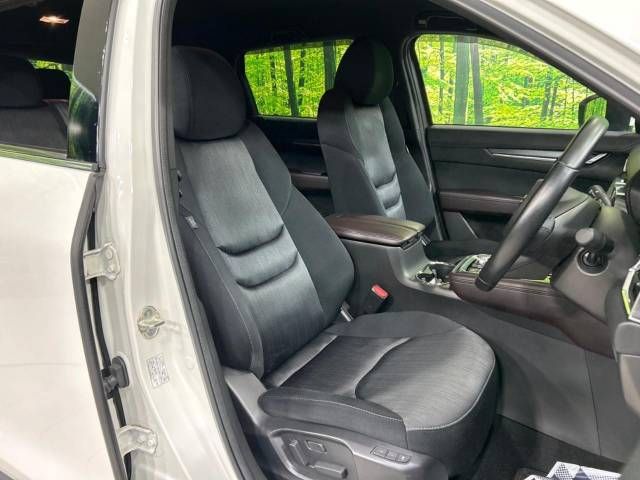 Mazda CX-8 2018-06 16672-8