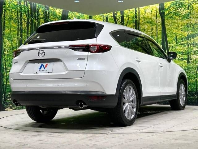 Mazda CX-8 2018-06 16672-18