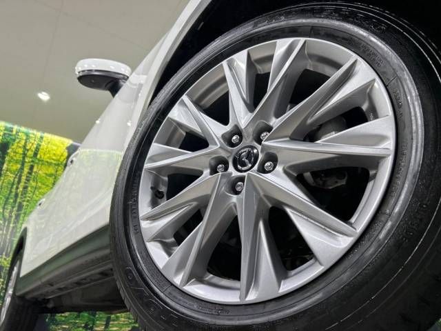Mazda CX-8 2018-06 16672-14
