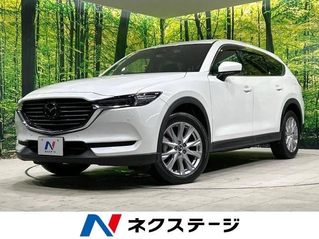 Mazda CX-8 2018-06 16672-0