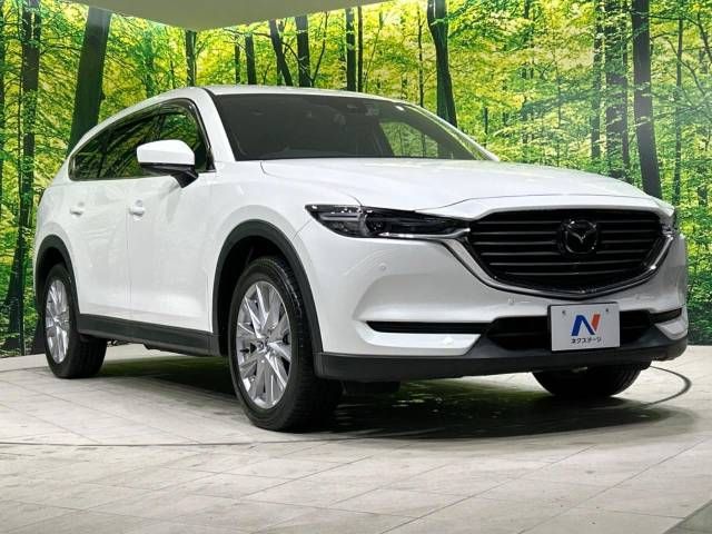 Mazda CX-8 2018-06 16672-17