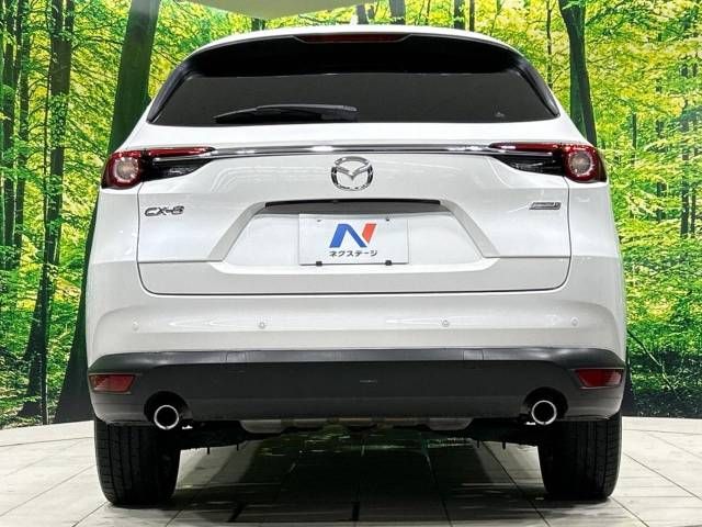 Mazda CX-8 2018-06 16672-16