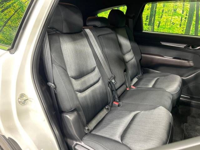 Mazda CX-8 2018-06 16672-9