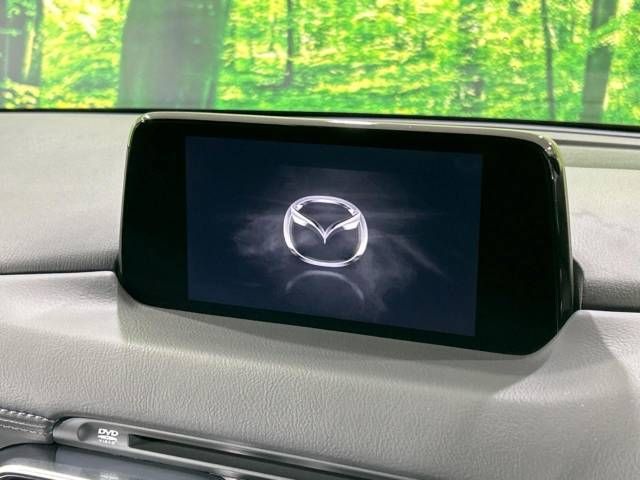 Mazda CX-8 2018-06 16672-2