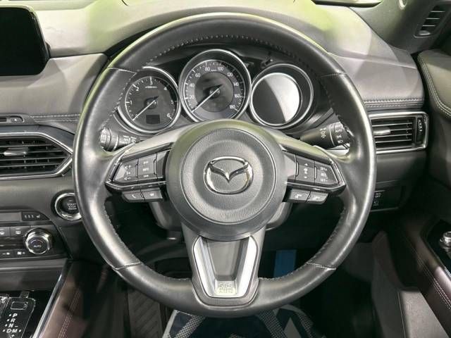 Mazda CX-8 2018-06 16672-12