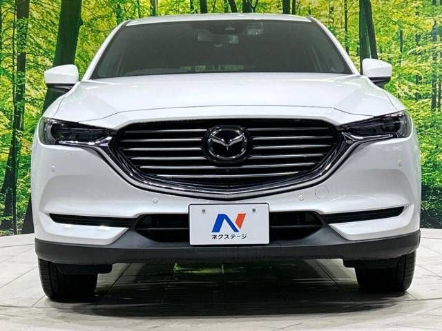 Mazda CX-8 2018-06 16672-15
