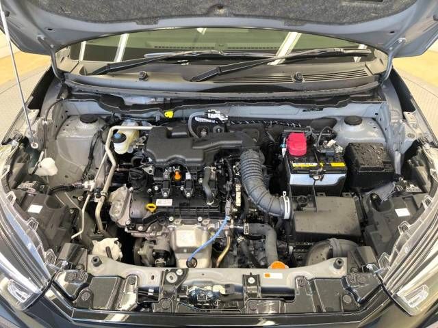 Toyota RAIZE 2023-06 181161-18