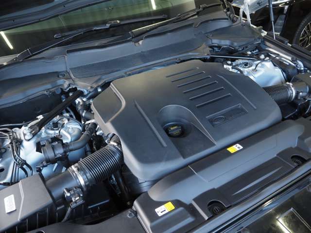 ROVER RANGE ROVER 2021-02 191426-14