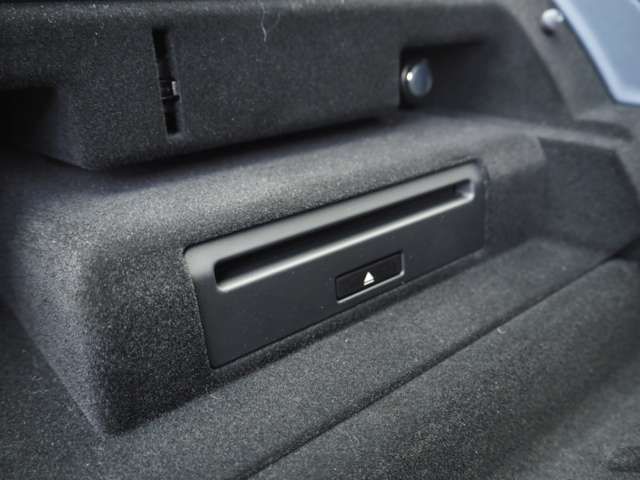 ROVER RANGE ROVER 2021-02 191426-11