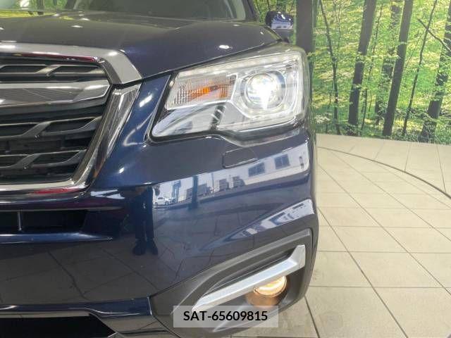 Subaru FORESTER 2016-06 390954-12